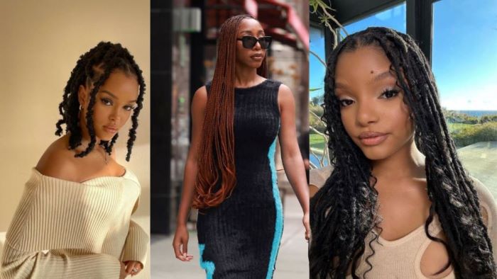 Elevate Your Braids Game: The Most Beautiful Braided Hairstyles in 2023 ...